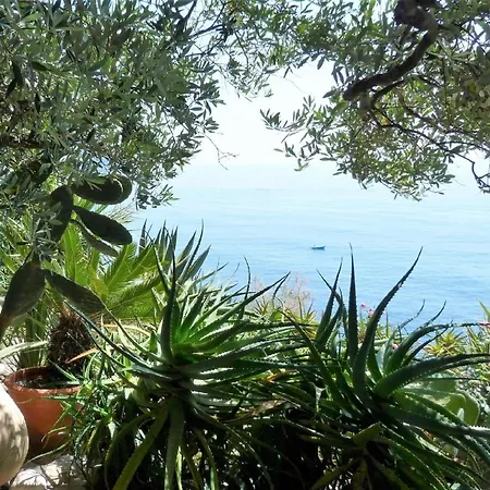 Studio Fur 2 Personen Ca 30 M In Recco, Italienische Riviera Golfo Paradiso * Recco
